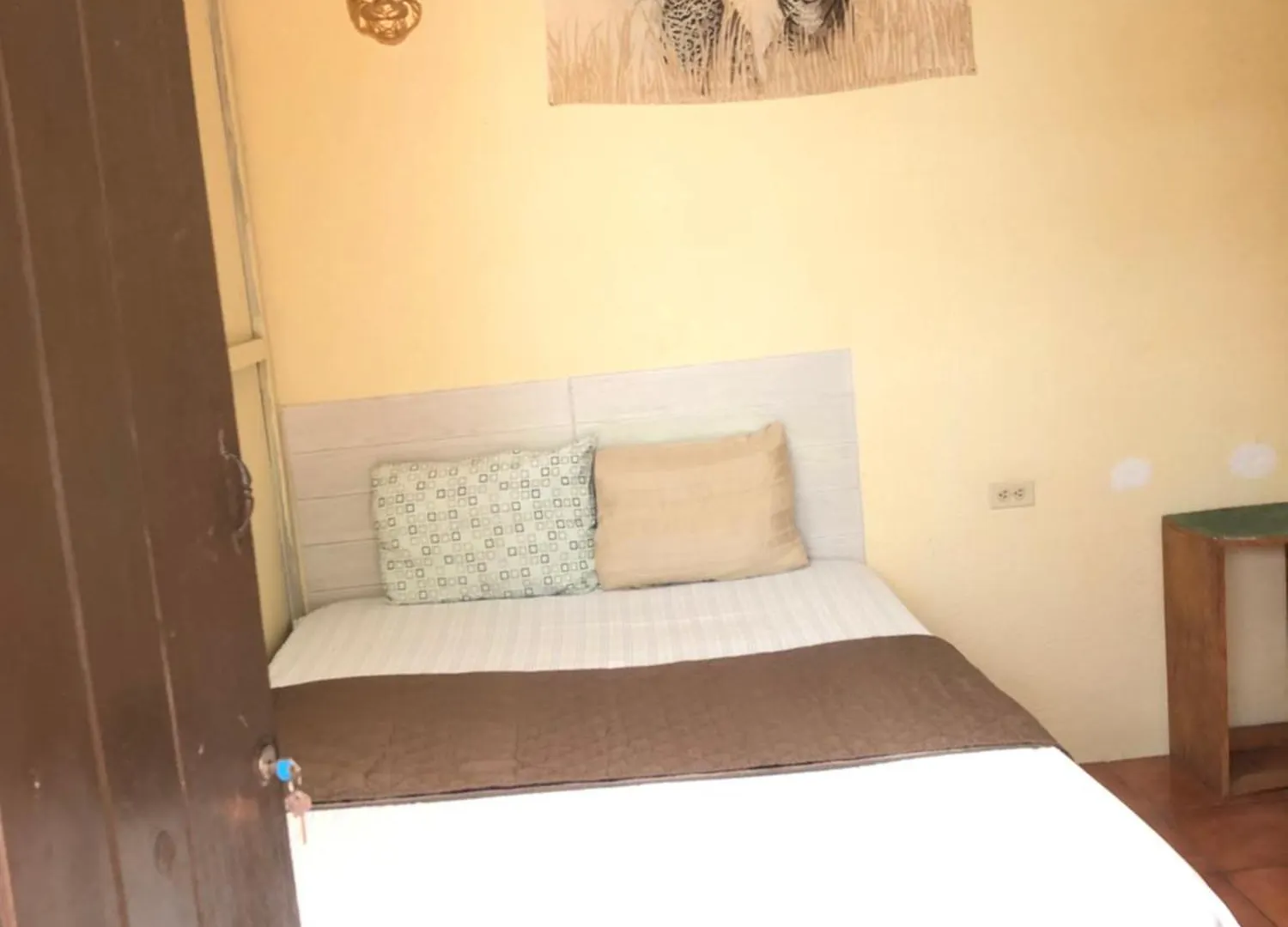 Jaguar Basic Accommodation Antigua Πανσιόν